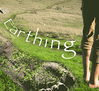 Image of Earthing Book Cover