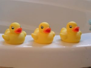 Image of Rubber Ducky