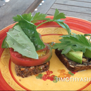 gluten free adventure bread with tomato and avocado