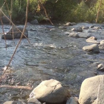 Tim soaking in a river near Yosemite