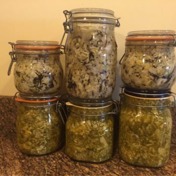 jars of homemade sauerkraut