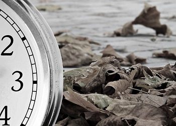 image of a clock artfully positioned near fallen leaves